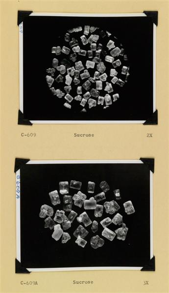 (SCIENCE) Group of 3 binders with 395 photographs depicting magnfications of various compounds and/or organic matter shot at the Struth